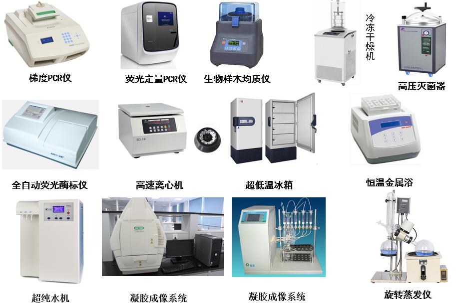 煤层生物增透分子实验系统