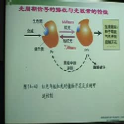 精品课·植物生物学 刘朝晖