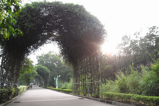 三水校区倚湖路