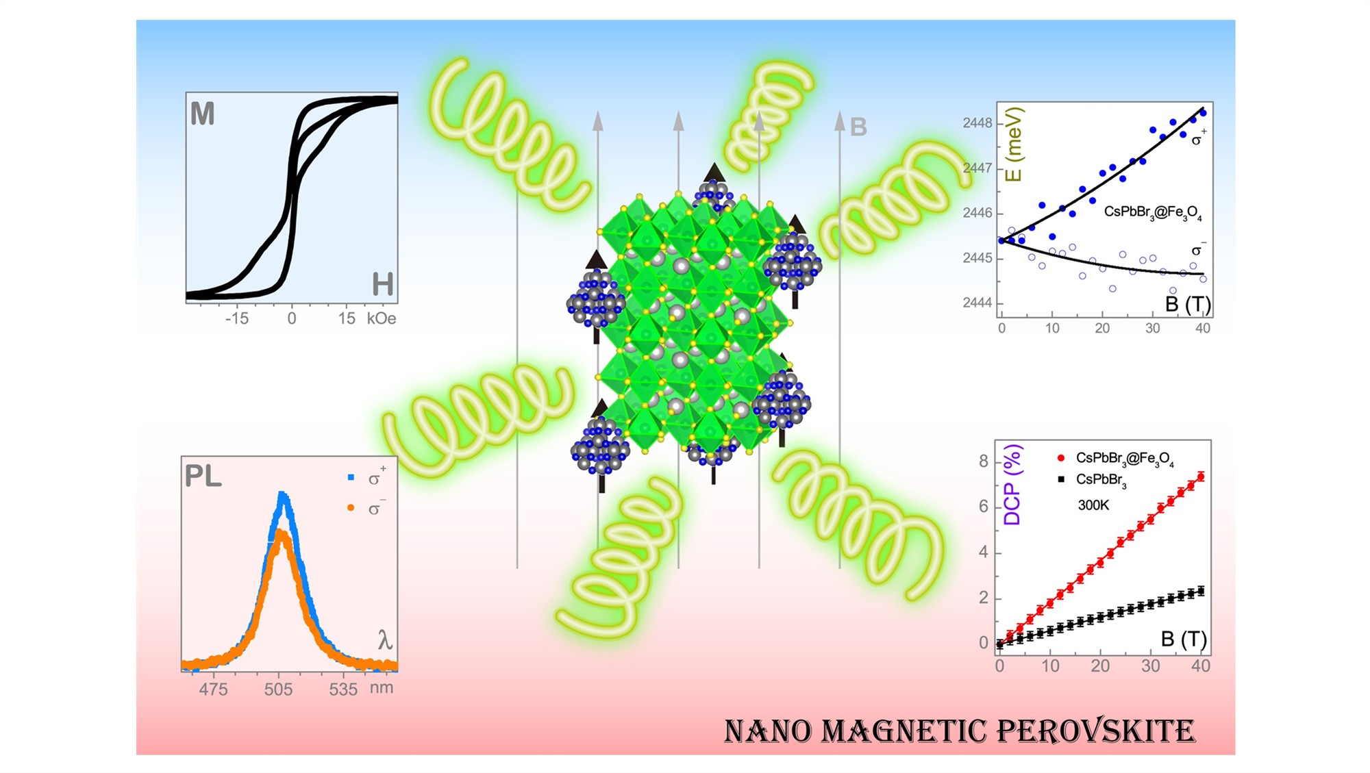 Enhanced room-temperature magnetic field effect on spin-polarized excitons of...