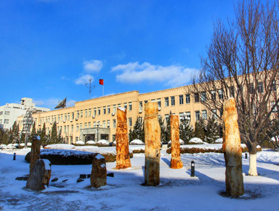 辽师大雪景