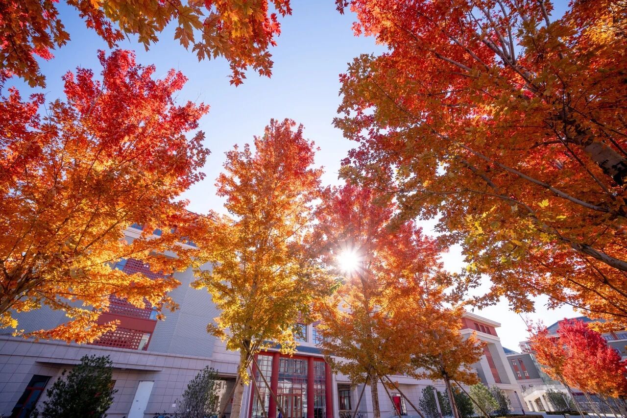 民大绝美秋景，错过等一年！