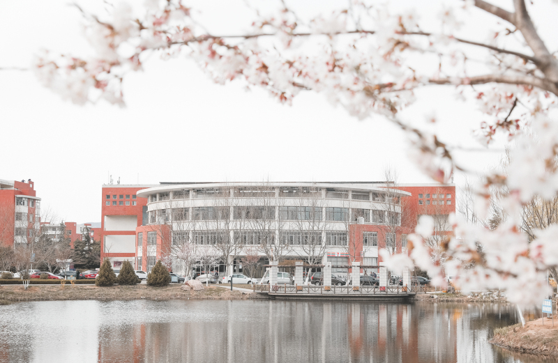 绕花岂惜日千回（摄影：陈兆广）