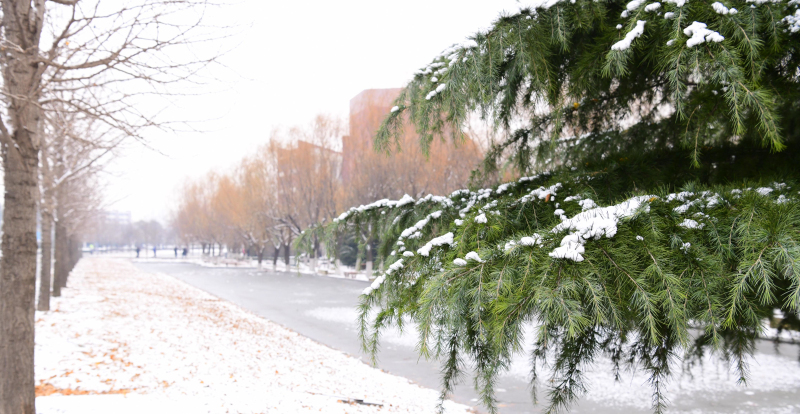 雪韵诗情（摄影：季俊立）