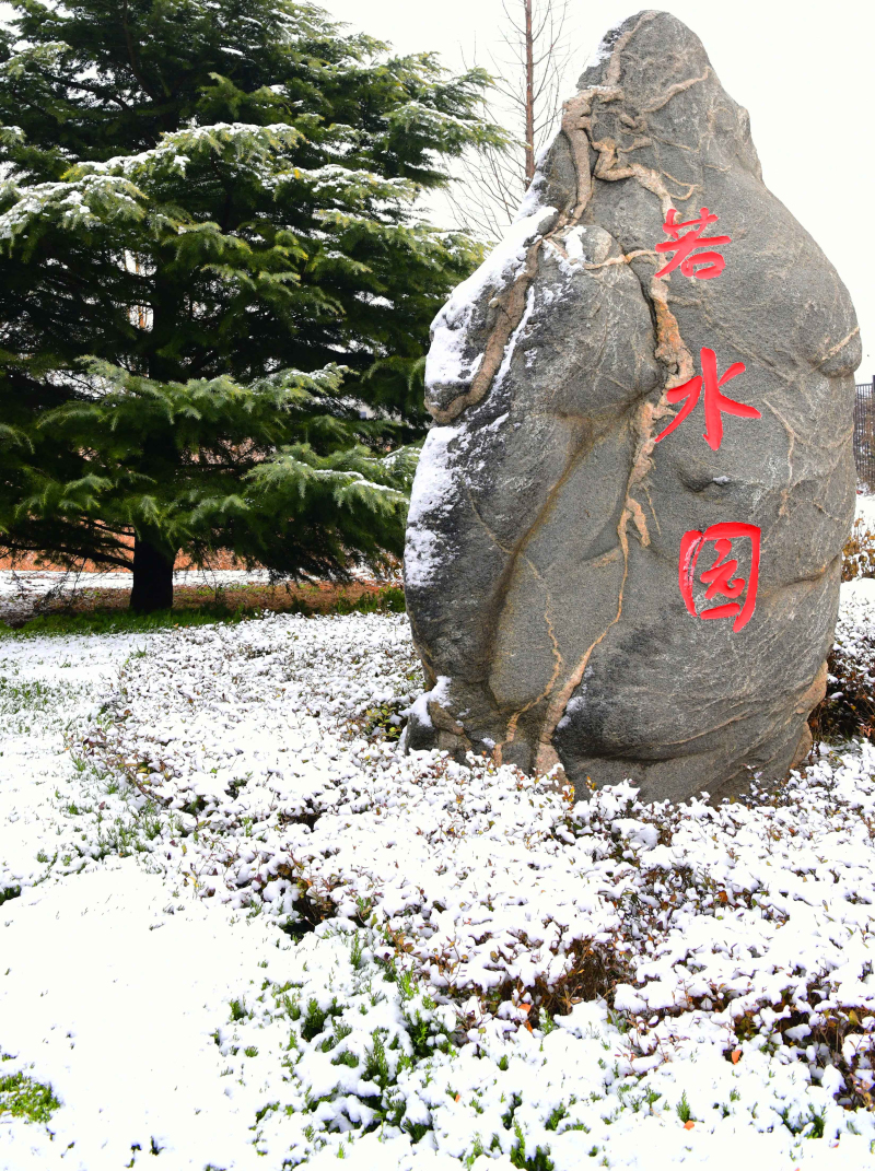 雪韵诗情（摄影：季俊立）