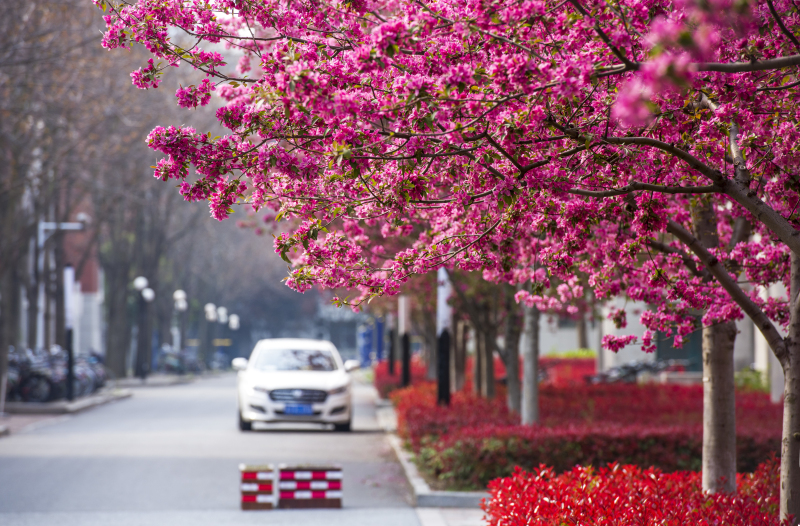 春和景明（摄影：李守春）