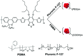 Graphical abstract: Bright red fluorescent conjugated polymer nanoparticles with dibenzopyran as electron donor for cell imaging