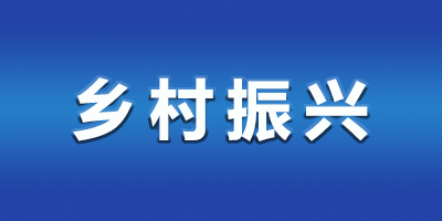 市委办公厅乡村振兴帮扶集团驻花田乡工作队来校调研交流