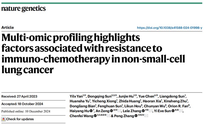 Nature Genetics | 张鹏等合作团队揭示非小细胞肺癌免疫联合化疗的耐药因素