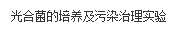 文本框: 光合菌的培养及污染治理实验