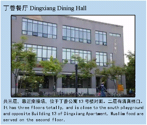 文本框: 丁香餐厅Dingxiang Dining Hall 共三层，靠近南操场，位于丁香公寓13号楼对面。二层有清真档口。It has three floors totally, and is close to the south playground and opposite Building 13 of Dingxiang Apartment. Muslim food are served on the second floor.