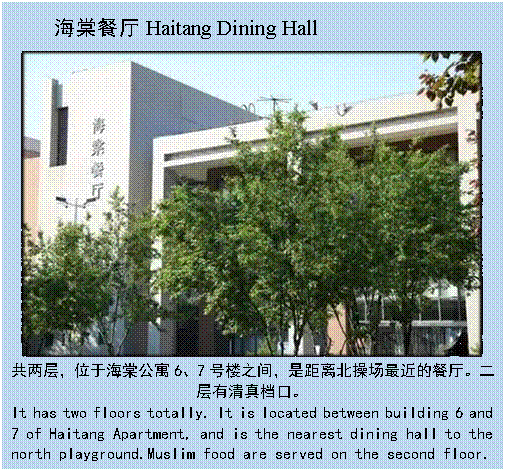 文本框: 海棠餐厅Haitang Dining Hall 共两层，位于海棠公寓6、7号楼之间，是距离北操场最近的餐厅。二层有清真档口。It has two floors totally. It is located between building 6 and 7 of Haitang Apartment, and is the nearest dining hall to the north playground.Muslim food are served on the second floor.