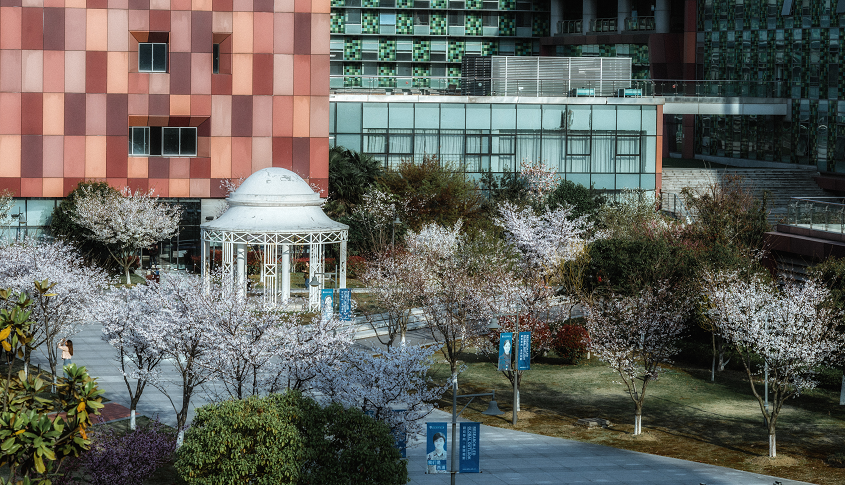 西交利物浦大学第41次理事会召开 聚焦大学发展战略