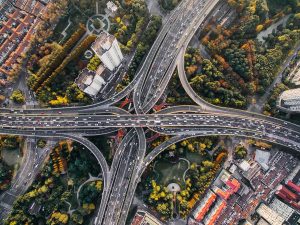 Urban forests reduce heat-related mortality, study shows