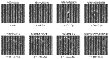 日历中度可信度描述已自动生成