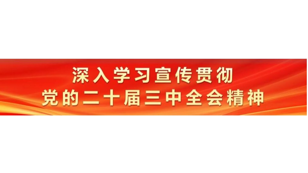 深入学习贯彻党的二十届三中全会精神